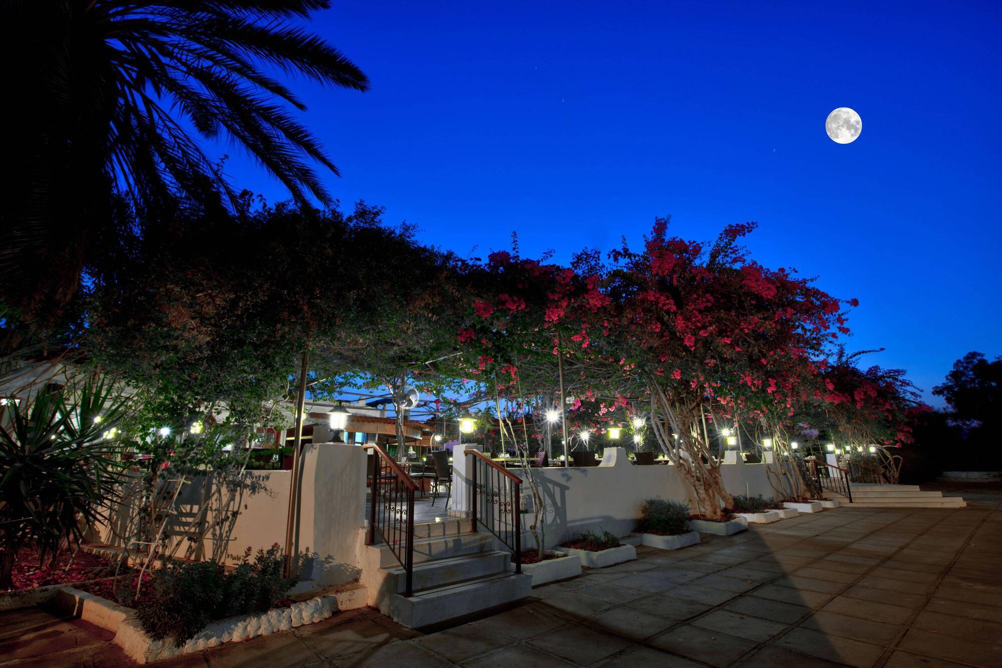Merit Cyprus Gardens Holiday Famagusta  Exteriör bild